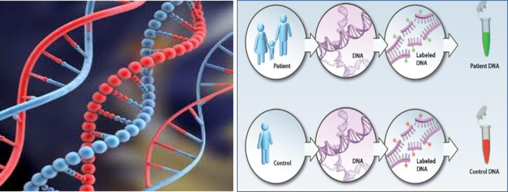 Diagnosi Genetica preimpianto