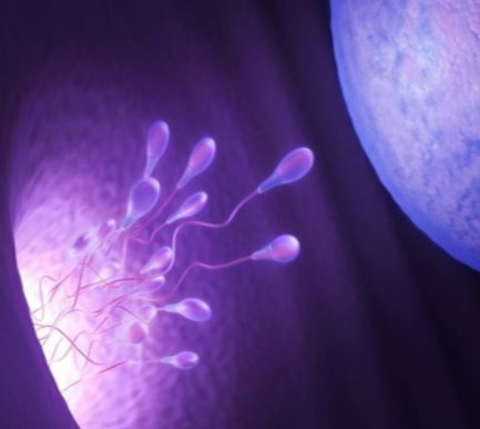 inseminazione intrauterina