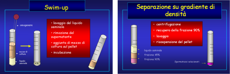 tecniche-di-preparazione-liquido-seminale